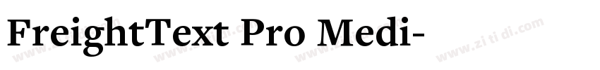 FreightText Pro Medi字体转换